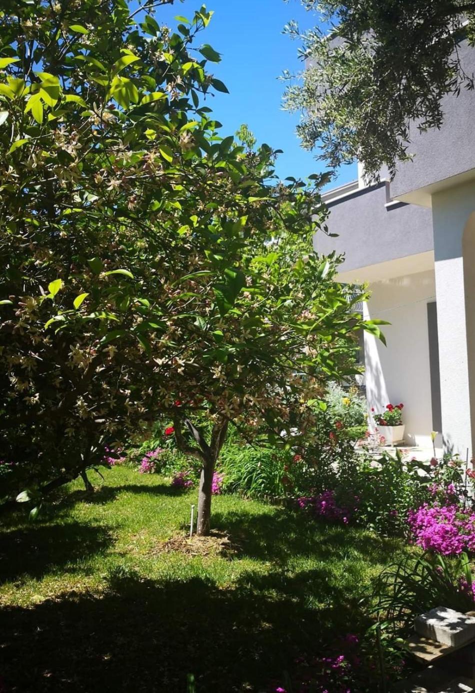 Apartmani Dianna Kastela Ngoại thất bức ảnh